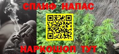прущие грибы Чебоксары