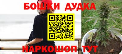 прущие грибы Чебоксары