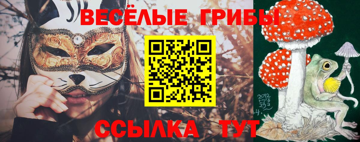 Псилоцибиновые грибы MAGIC MUSHROOMS  Вход с VPN  Вольск  Галлюциногенные грибы Cubensis 