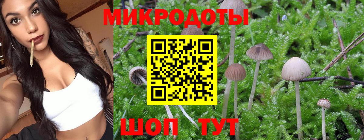 Псилоцибиновые грибы прущие грибы Вольск