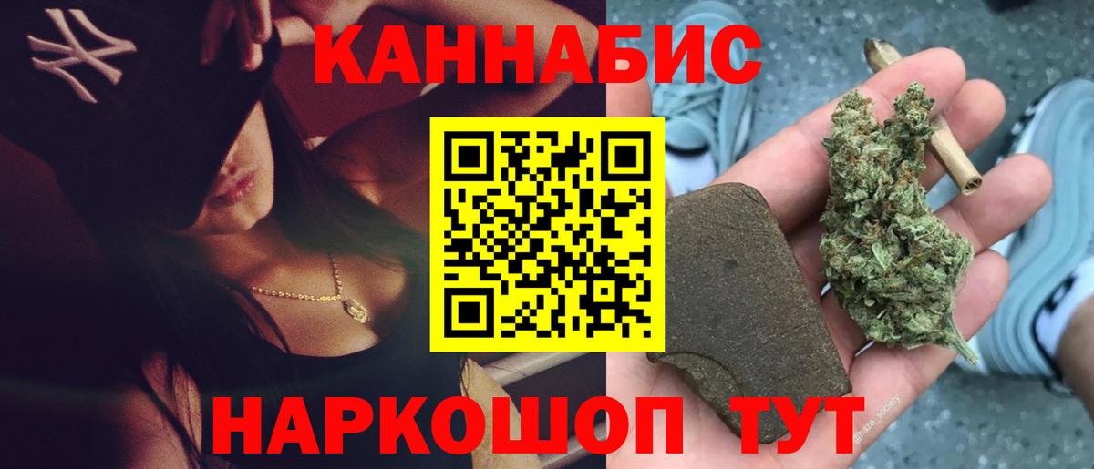 Бошки Шишки план Вольск